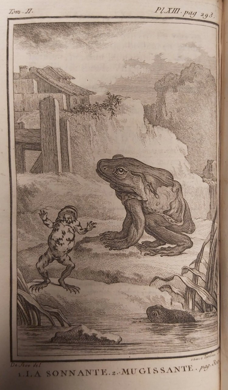 HISTOIRE NATURELLE des quadrupedes ovipares et des serpens. | Immagine principale