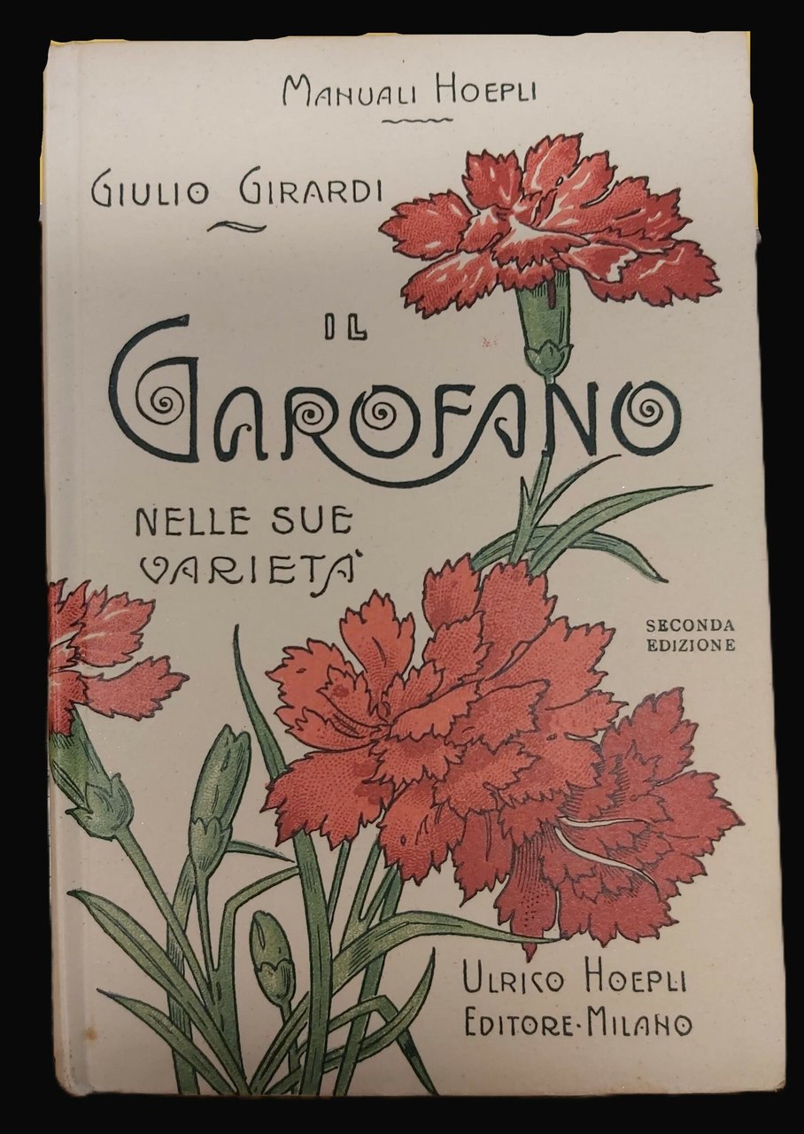IL GAROFANO (dianthus) nelle sue varietà. Coltura e propagazione di … | Immagine principale
