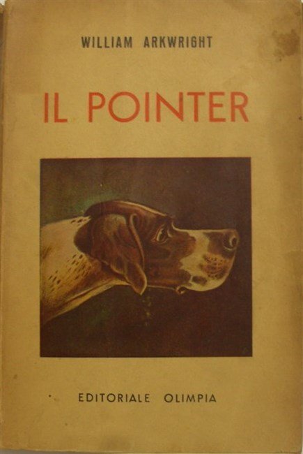 IL POINTER e i suoi predecessori.