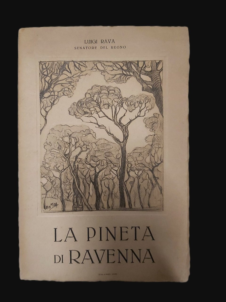 LA PINETA DI RAVENNA. Piccola storia di una grande bonifica.