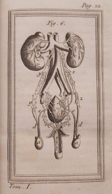 LEGGI FISICHE DELL'AMORE CONJUGALE ossia Storia compiuta delle generazione dell'uomo. Opera del Signor. rifusa inteiramente, espurgata dagli errori degli antichi tempi, e portata al livello delle odierne cognizioni. Traduzione dal francese. Tomo I (e II).