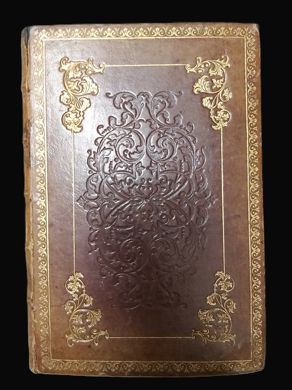 LES COLLECTIONS BOTANIQUES du Musèe Royal de Phisique et d’Histoire …