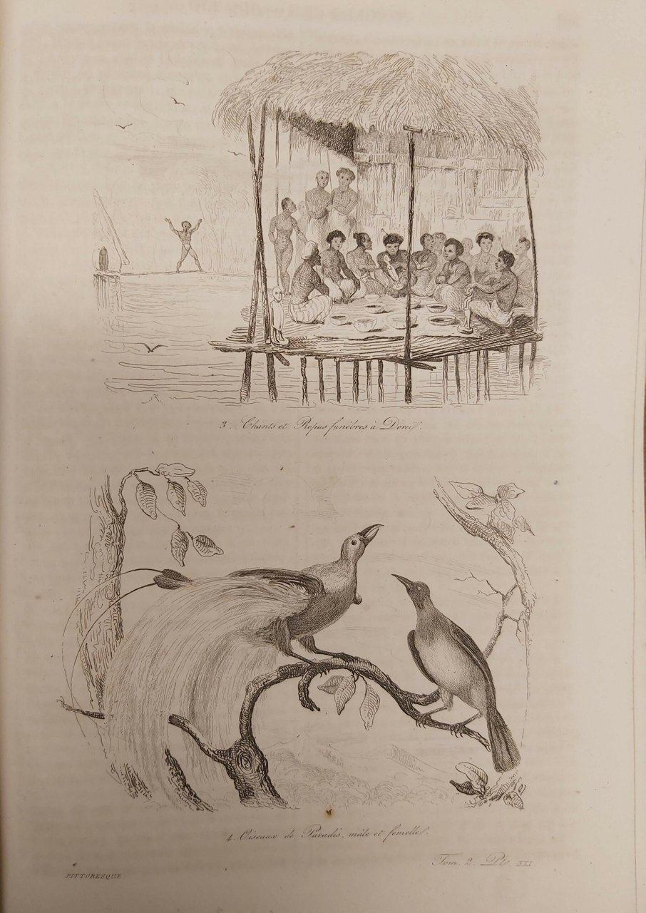 STORIA DELLE SCOPERTE MARITTIME e continentali da’ più remoti tempi …