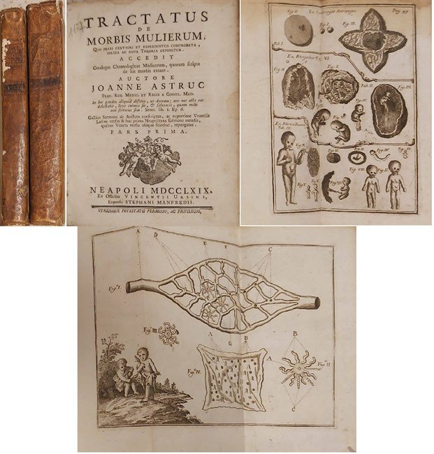 TRACTATUS DE MORBIS MULIERUM, quo praxi certiori et experientiis comprobata, …