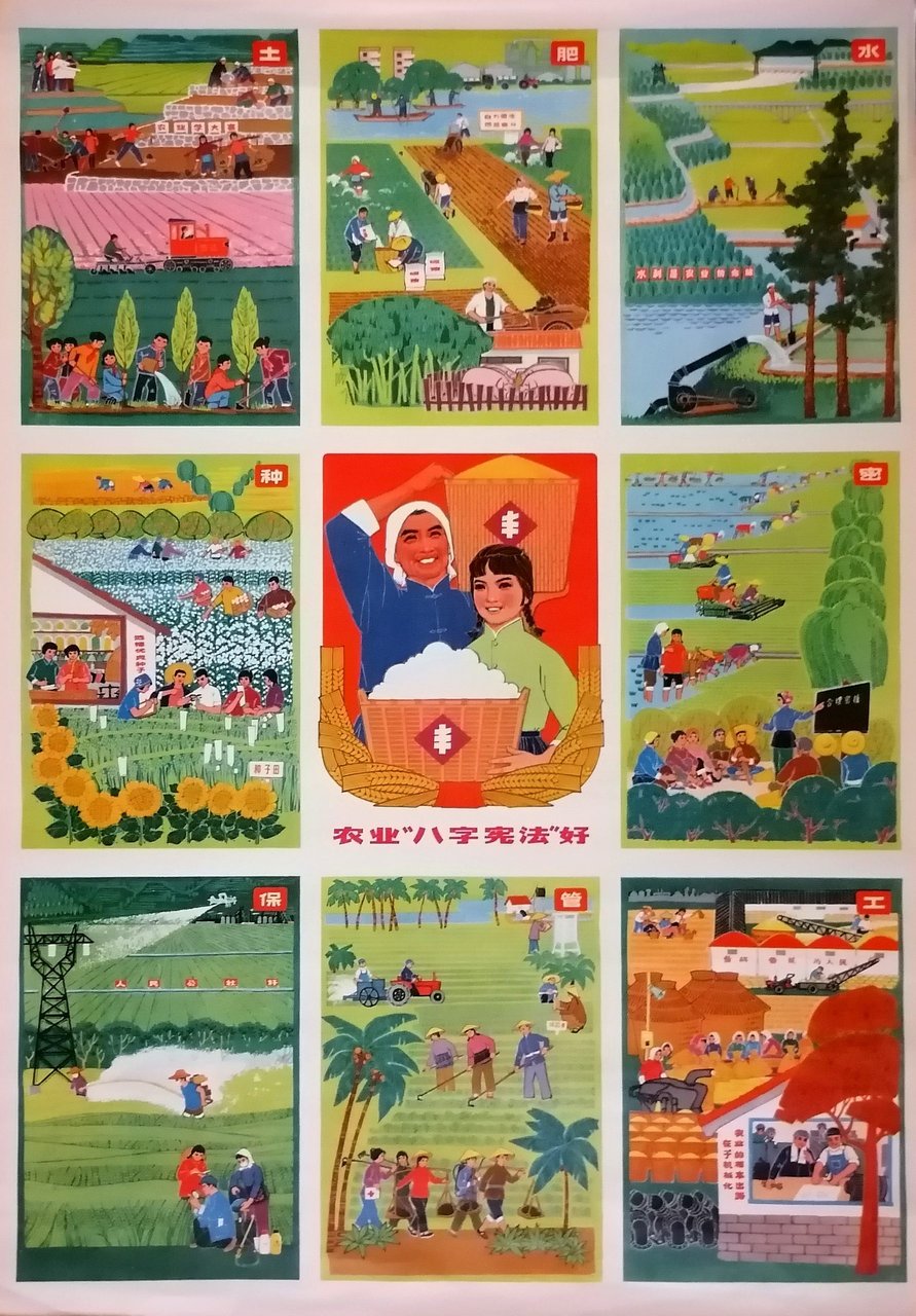 (Cina) La "Carta degli otto punti" dell'agricoltura è buona. Manifesto | Immagine principale