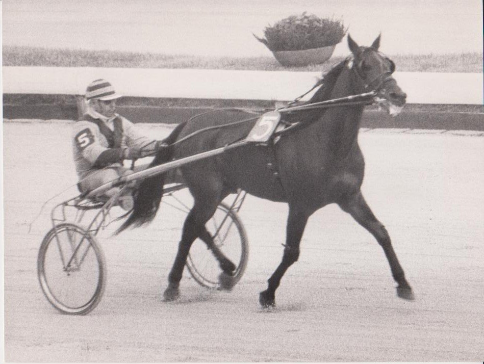 Top Hanover