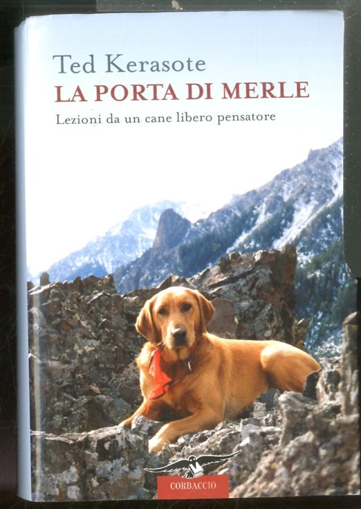 PORTA DI MERLE LEZIONI DA UN CANE LIBERO PENSATORE ( …