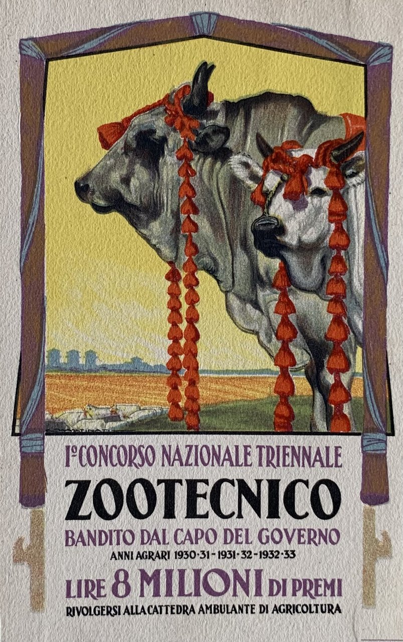 1Â° Concorso Nazionale Triennale Zootecnico 1930 (Giovanni Martinati) | Immagine principale