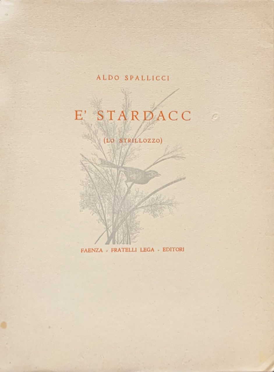 E' Stardacc (Lo Strillozzo) | Immagine principale