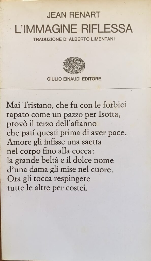 L'immagine riflessa