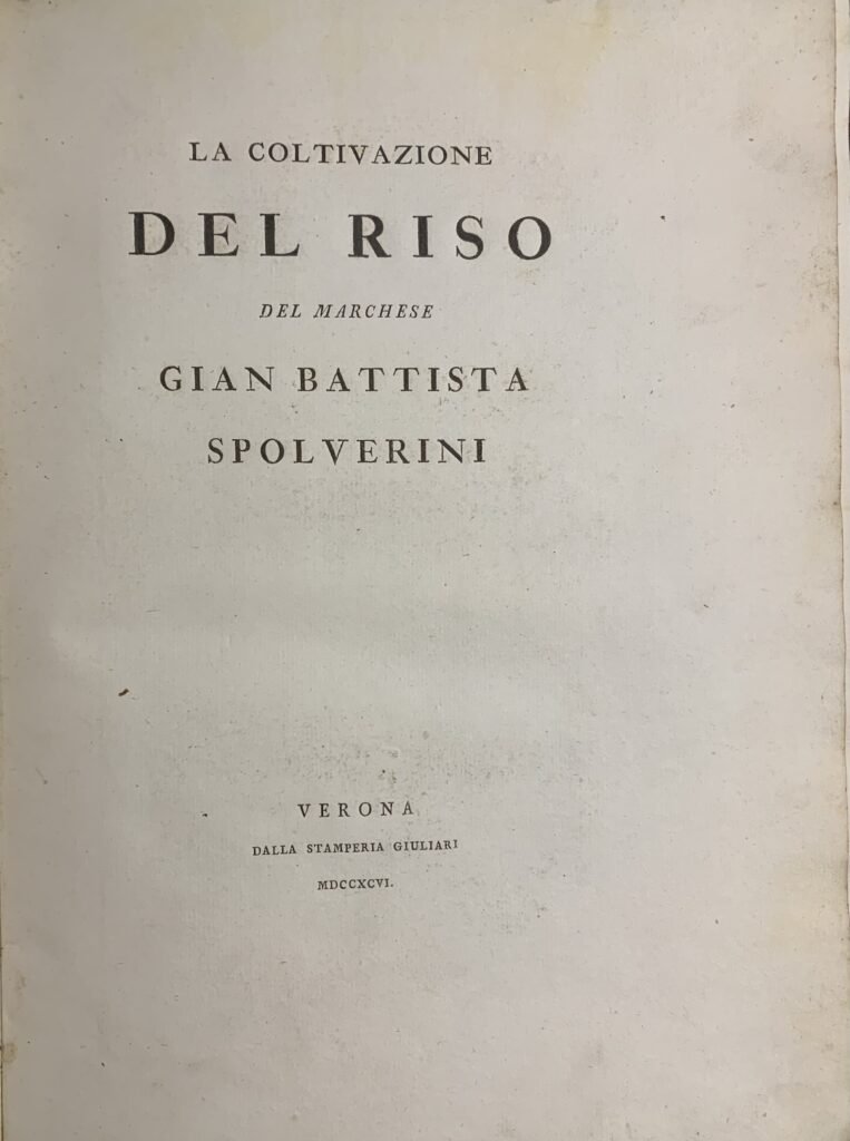 La coltivazione del riso