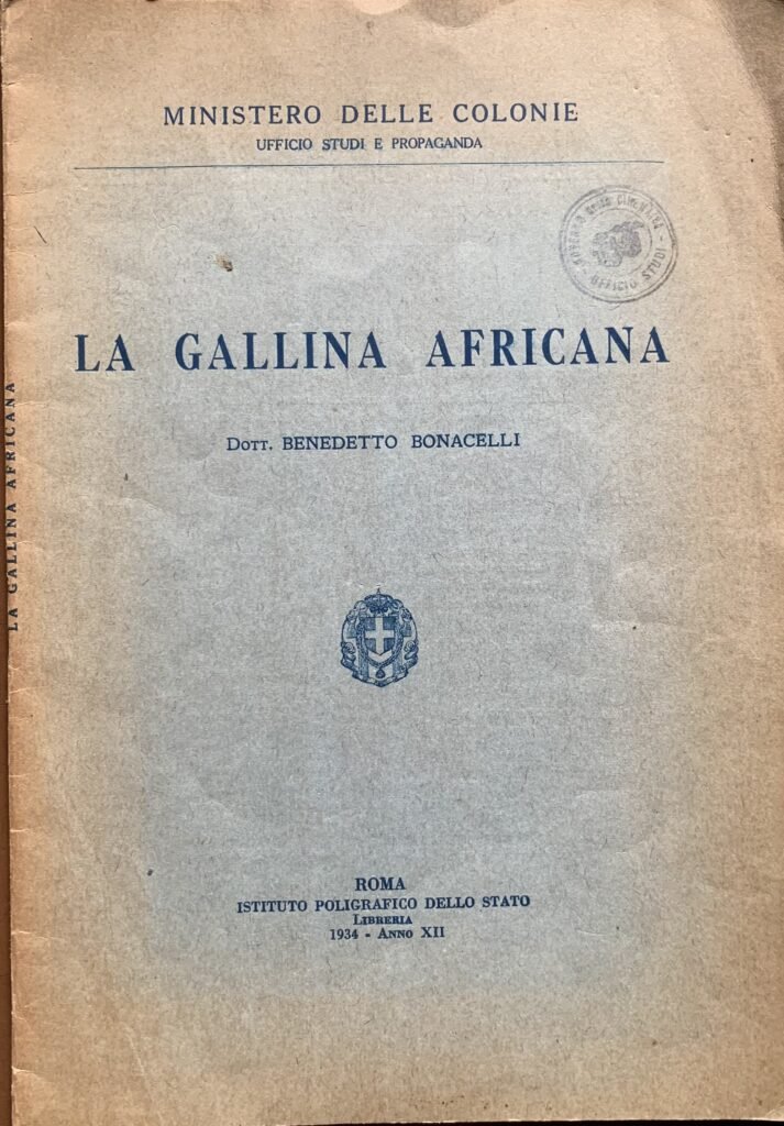 La gallina africana