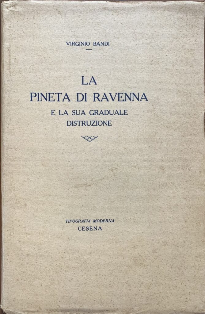 La pineta di Ravenna e la sua graduale distruzione