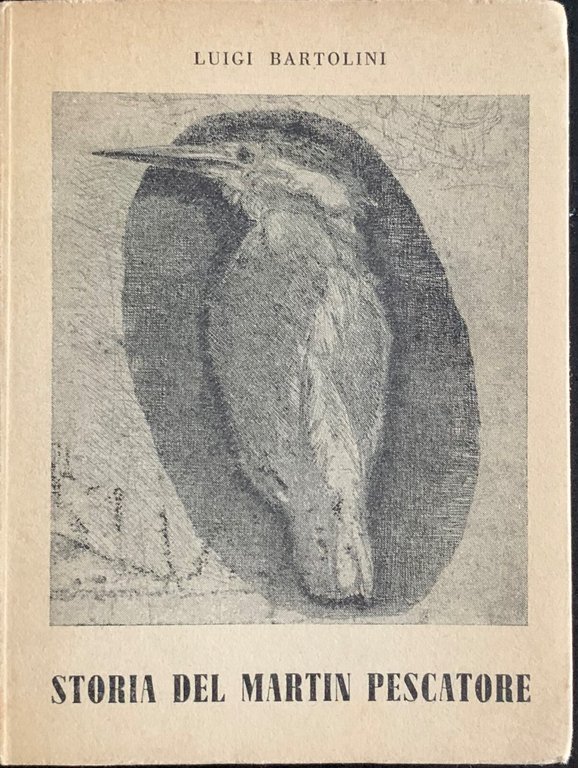 Storia del martin pescatore | Immagine Gallery 3