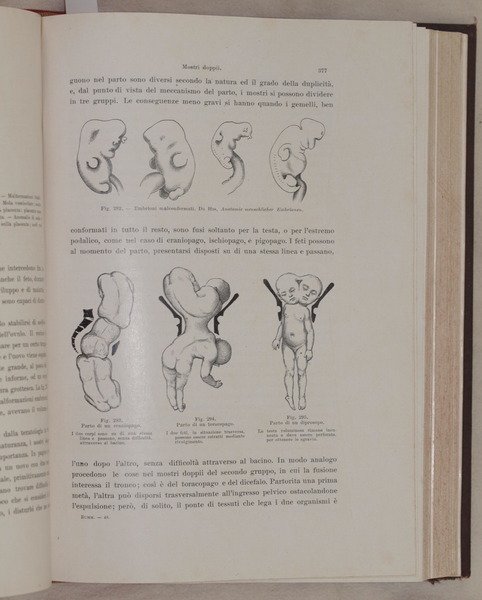 TRATTATO COMPLETO DI OSTETRICIA AD USO DEGLI STUDENTI E DEI …