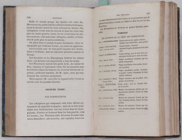 HISTOIRE DES INSECTES TRAITANT DE LEURS MOEURS ET DE LEURS …