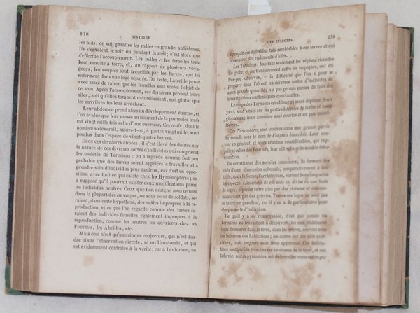 HISTOIRE DES INSECTES TRAITANT DE LEURS MOEURS ET DE LEURS …