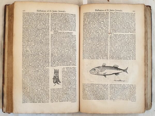 DECIMUS JUNIUS JUVENALIS AND AULUS PERSIUS FLACCUS TRANSLATED AND ILLUSTRATED …