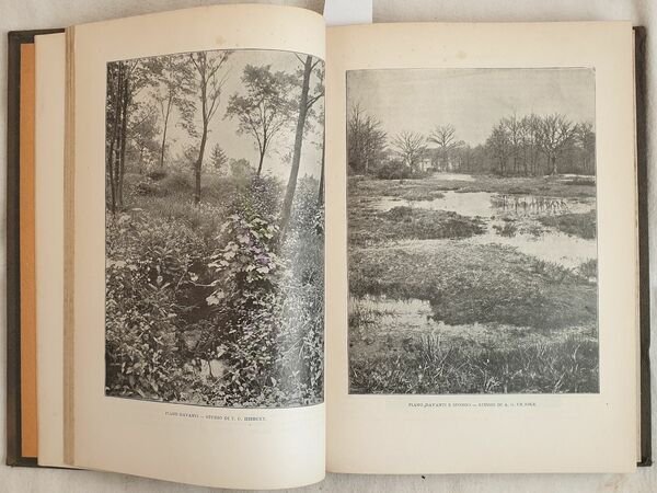 EMPORIUM RIVISTA MENSILE ILLUSTRATA D'ARTE LETTERATURA SCIENZA E VARIETA 1898