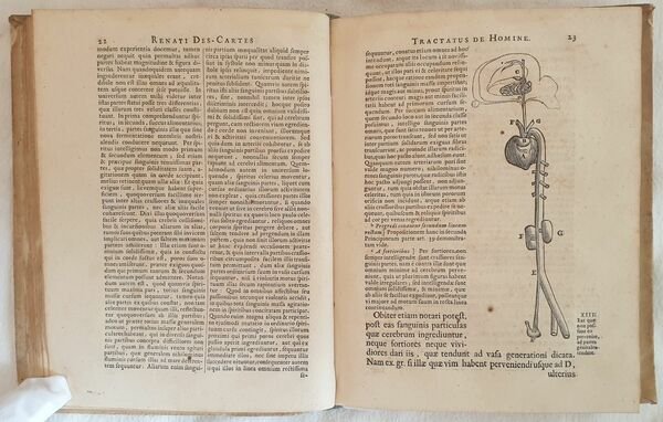 TRACTATUS DE HOMINE ET DE FORMATIONE FOETUS QUORUM PRIOR NOTIS …