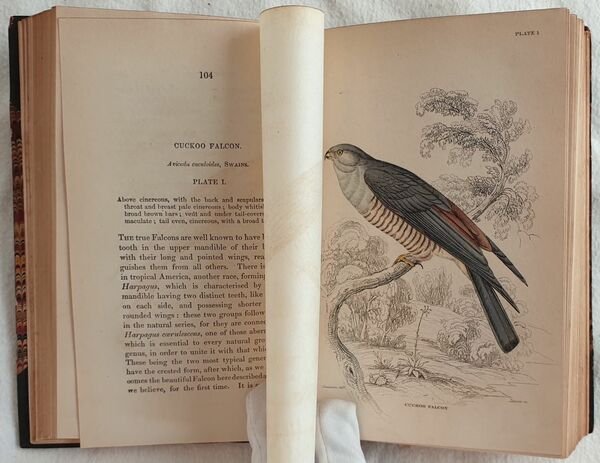 Ornithology VOL. VII, VIII Birds of western Africa
