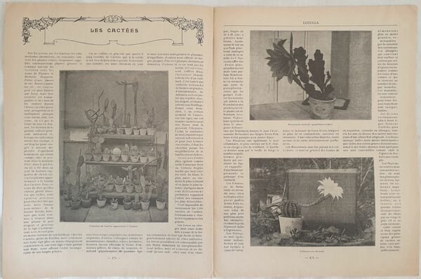 N. 21 - 15 SEPTEMBRE 1912 LUCULLA GUIDE RATIONNEL DE …