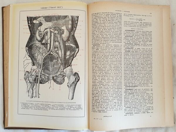 ENCICLOPEDIA UNIVERSALE ILLUSTRATA VOLUME I A-AMDO