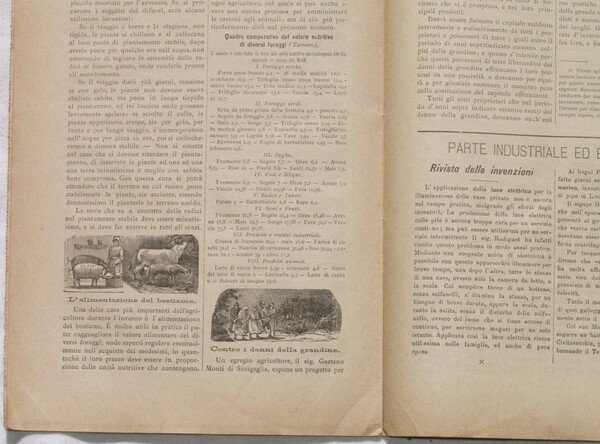 GIORNALE DI AGRICOLTURA, INDUSTRIA E COMMERCIO DEL REGNO D'ITALIA