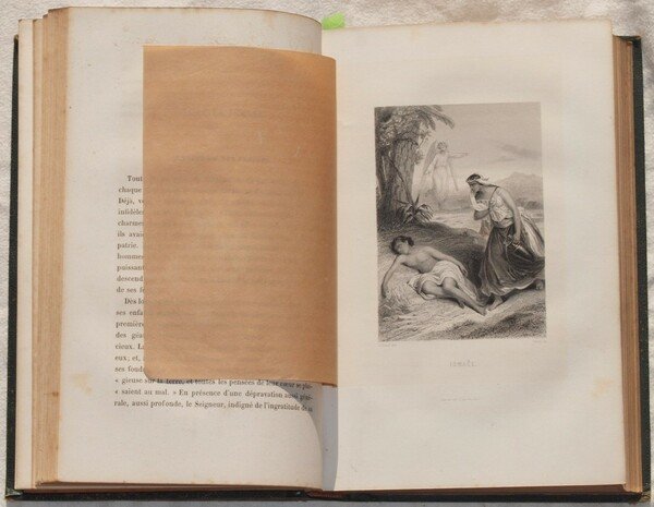 LES ENFANTS DE LA BIBLE