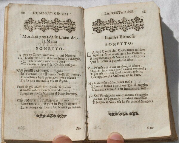 LA TESTUDINE DI MARIO CEVOLI