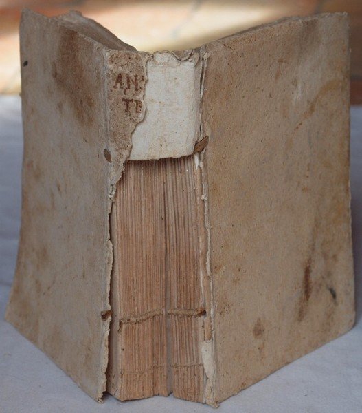 APPARATUS AD POSITIVAM THEOLOGIAM METHODICUS