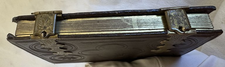 ALBUM FOTOGRAFICO 1866 CIRCA GIUSEPPE GARIBALDI