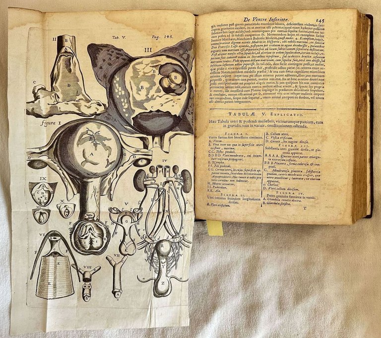 ANATOME CORPORIS HUMANI PLURIMIS NOVIS INVENTIS INSTRUCTA VARIISQUE OBSERVATIONIBUS & …