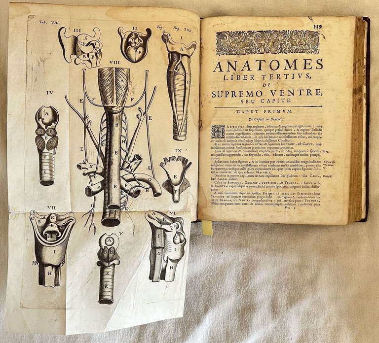 ANATOME CORPORIS HUMANI PLURIMIS NOVIS INVENTIS INSTRUCTA VARIISQUE OBSERVATIONIBUS & …