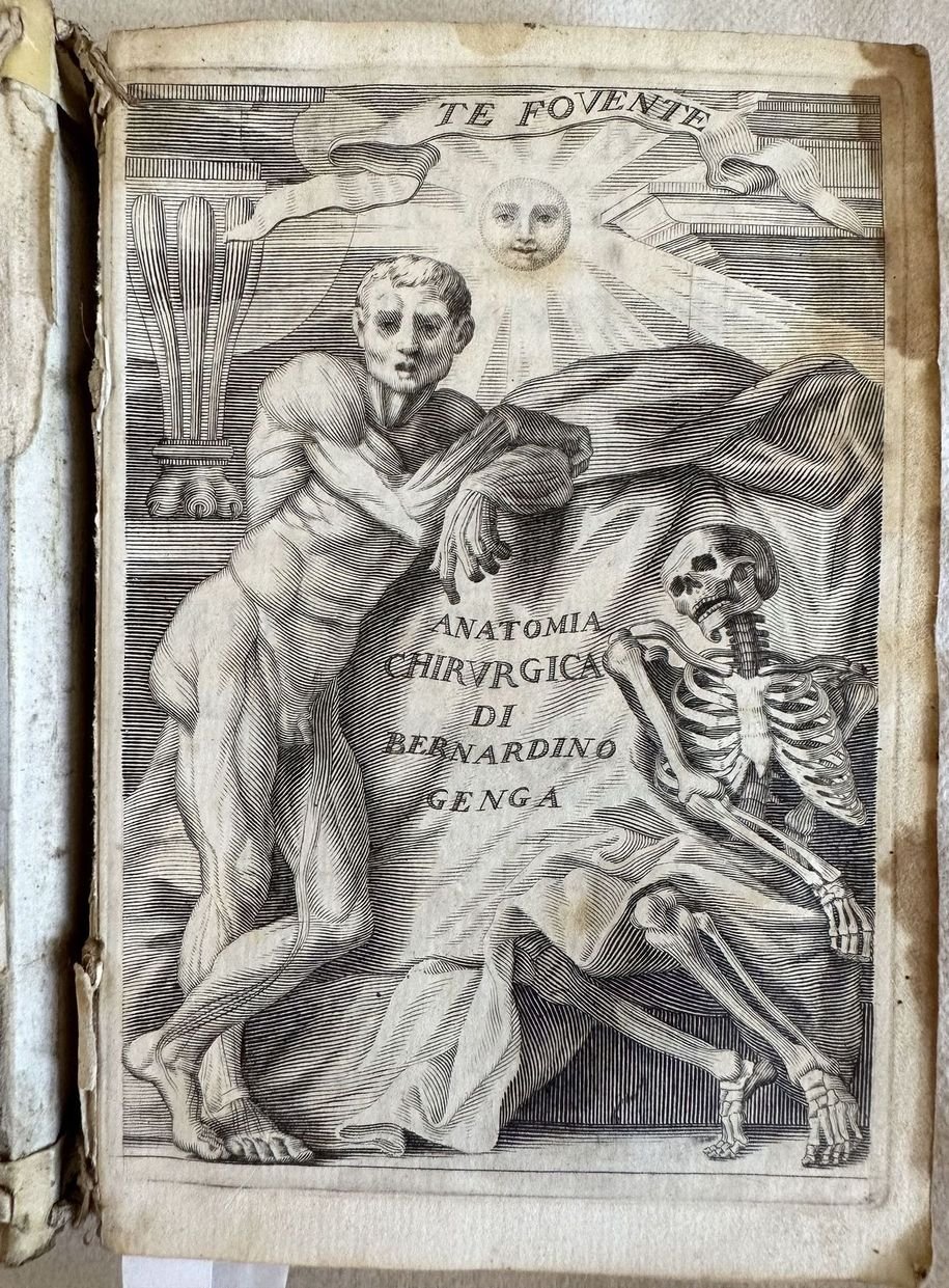 ANATOMIA CHIRURGICA CIOE ISTORIA ANATOMICA DELL'OSSA E MUSCOLI DEL CORPO …