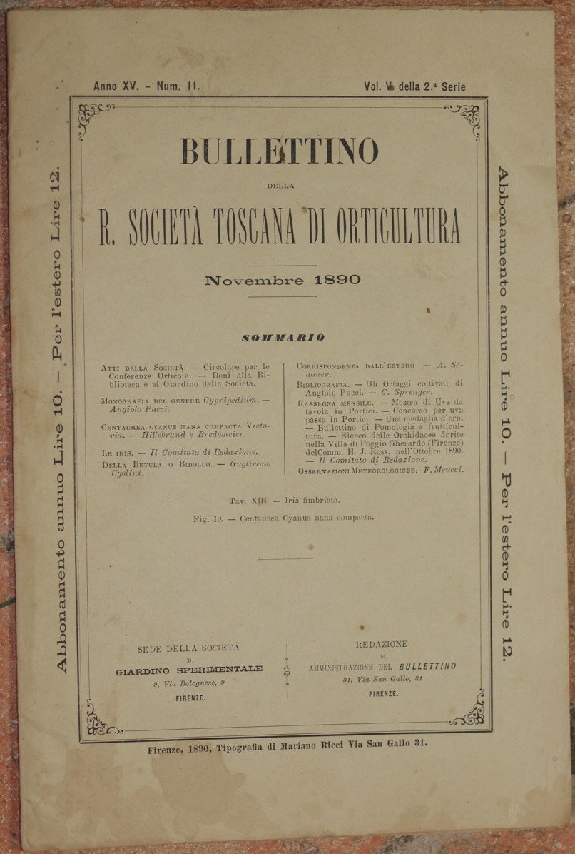 BULLETTINO DELLA R. SOCIETA TOSCANA DI ORTICULTURA NOVEMBRE 1890