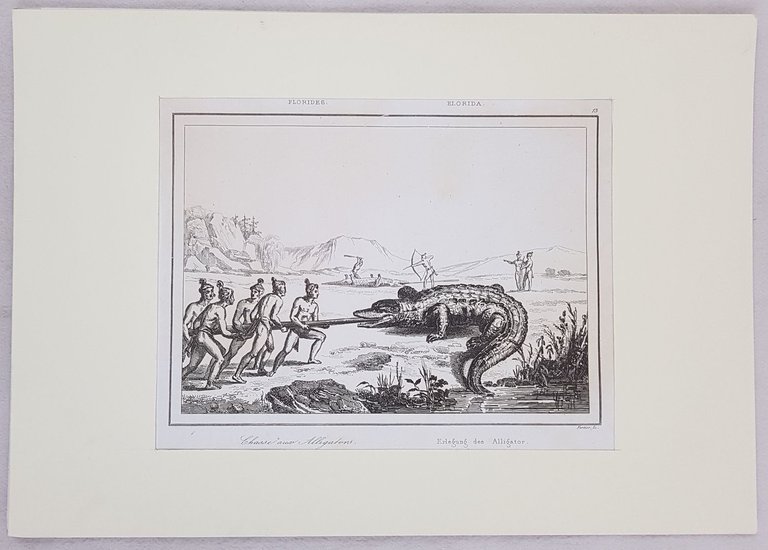 CHASSE AUX ALLIGATORS