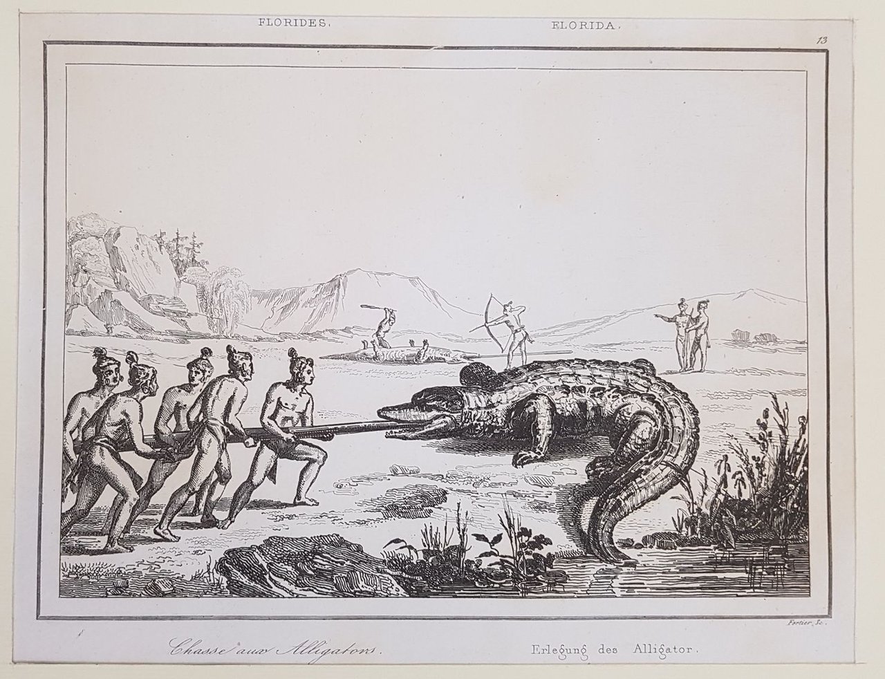 CHASSE AUX ALLIGATORS