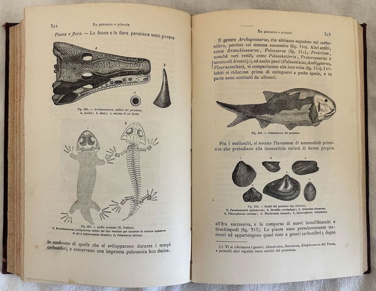 COMPENDIO DI GEOLOGIA