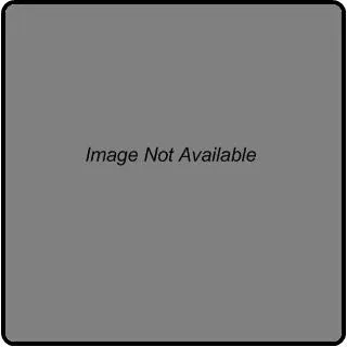 Courser (Cursorius cursor) | Immagine Gallery 1