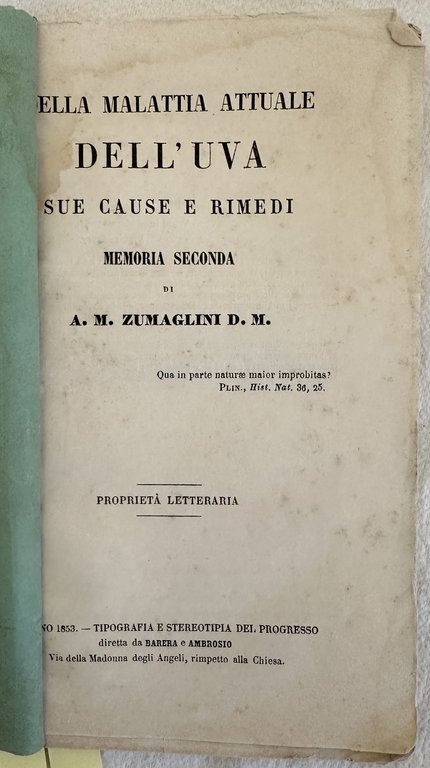 DELLA MALATTIA ATTUALE DELL'UVA SUE CAUSE E RIMEDI MEMORIA SECONDA | Immagine Gallery 2