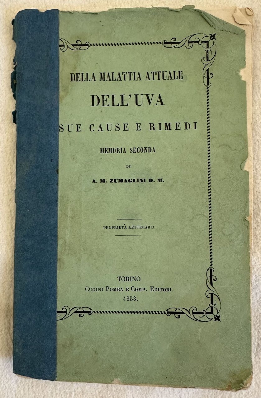 DELLA MALATTIA ATTUALE DELL'UVA SUE CAUSE E RIMEDI MEMORIA SECONDA | Immagine principale