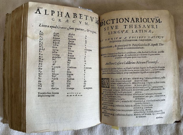 DITTIONARIO OVERO TESORO DELLA LINGUA VOLGARE LATINA