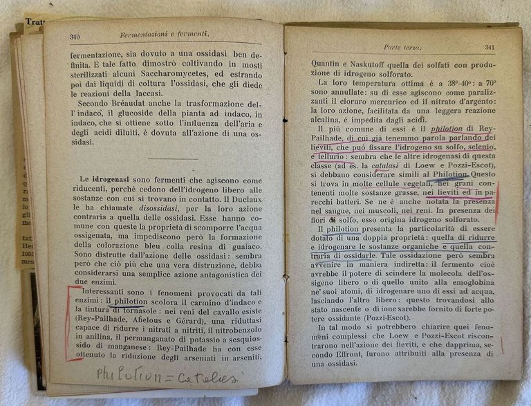 FERMENTAZIONI E FERMENTI | Immagine Gallery 2
