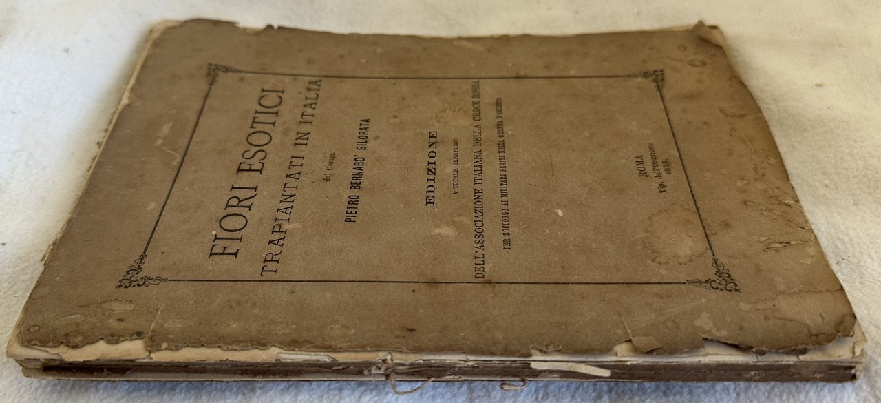 FIORI ESOTICI TRAPIANTATI IN ITALIA | Immagine principale