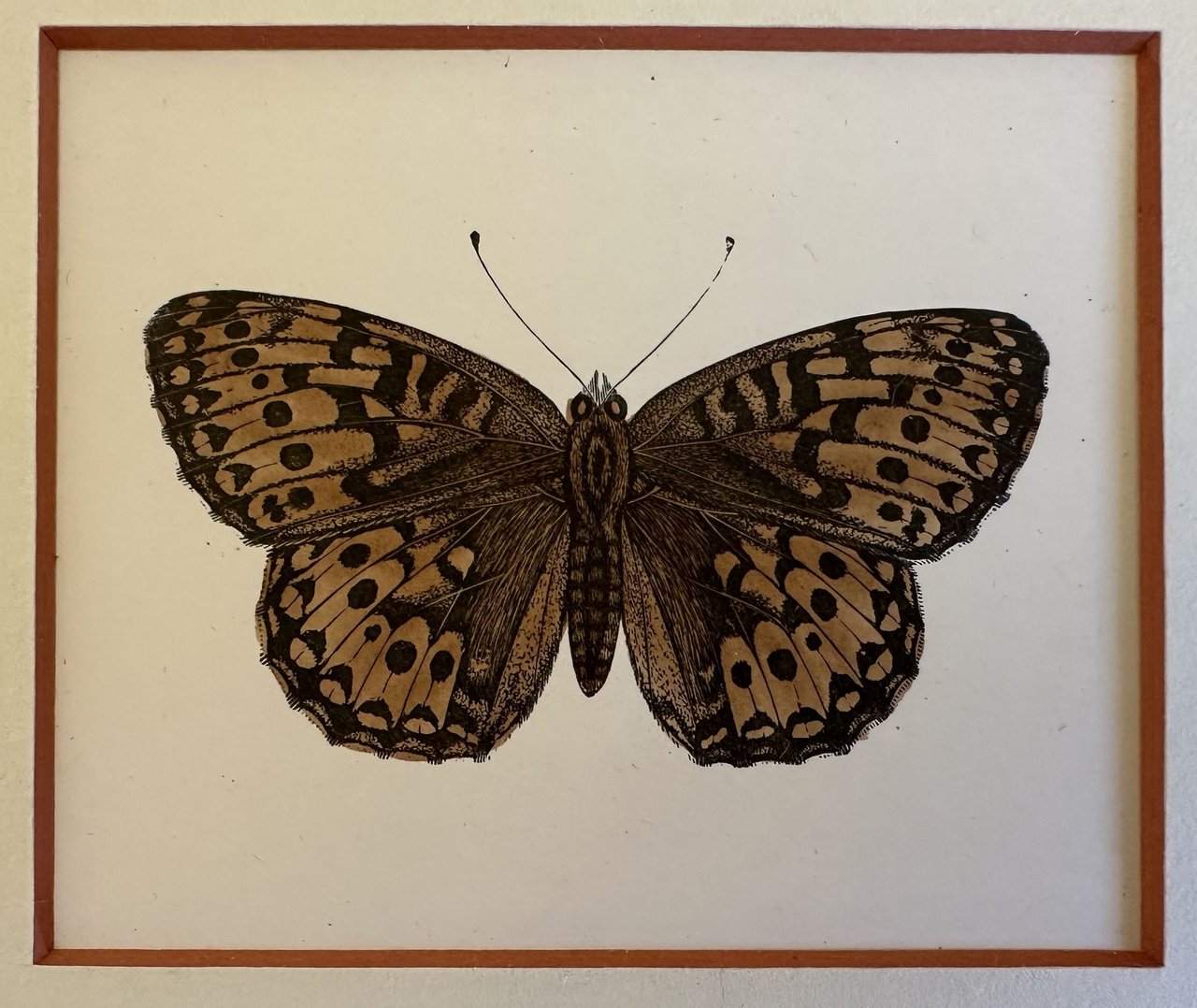 Großer perlmuttfalter Argynnis aglaja