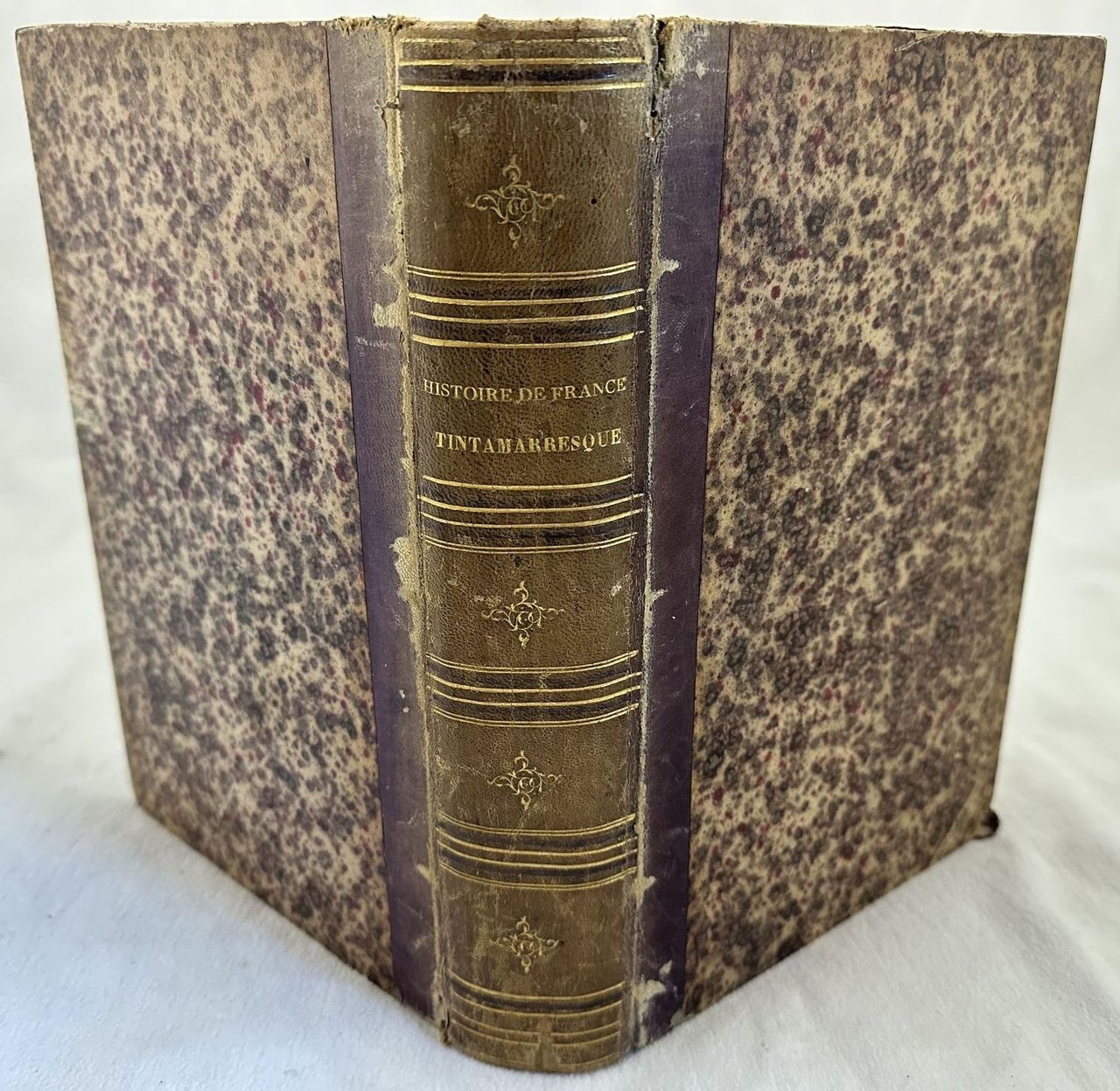 HISTORIE DE FRANCE TINTAMARRESQUE DEPUIS LES TEMPS LES PLUS RECULES …