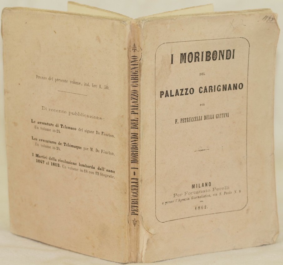 I MORIONDI DEL PALAZZO CARIGNANO