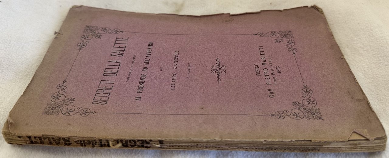 I SEGRETI DELLA SALETTE CONSIDERATI IN RAPPORTO AL PRESENTE ED … | Immagine principale