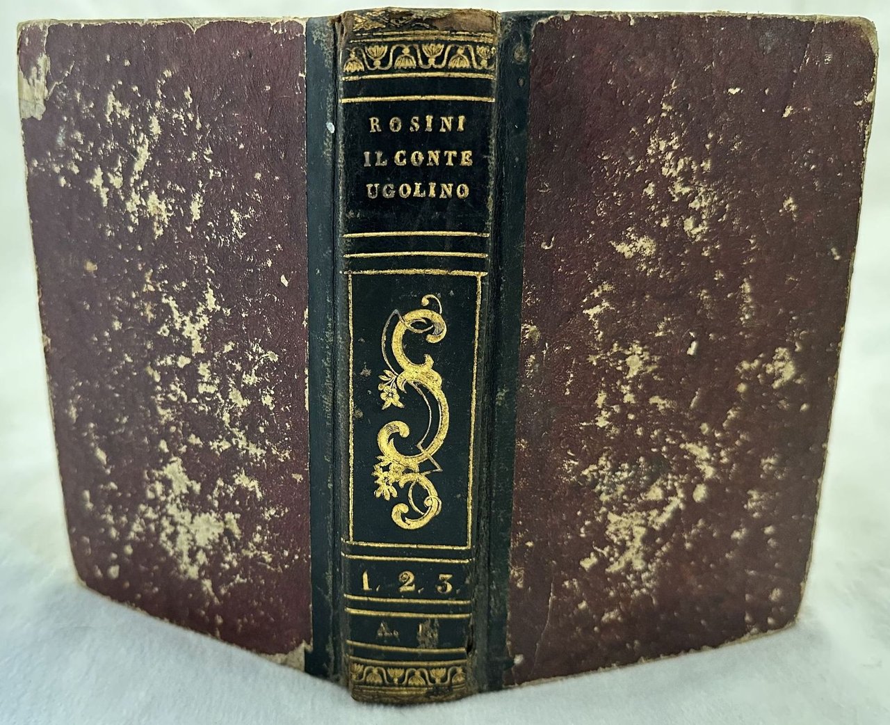 IL CONTE UGOLINO DELLA GHERARDESCA E I GHIBELLINI DI PISA …